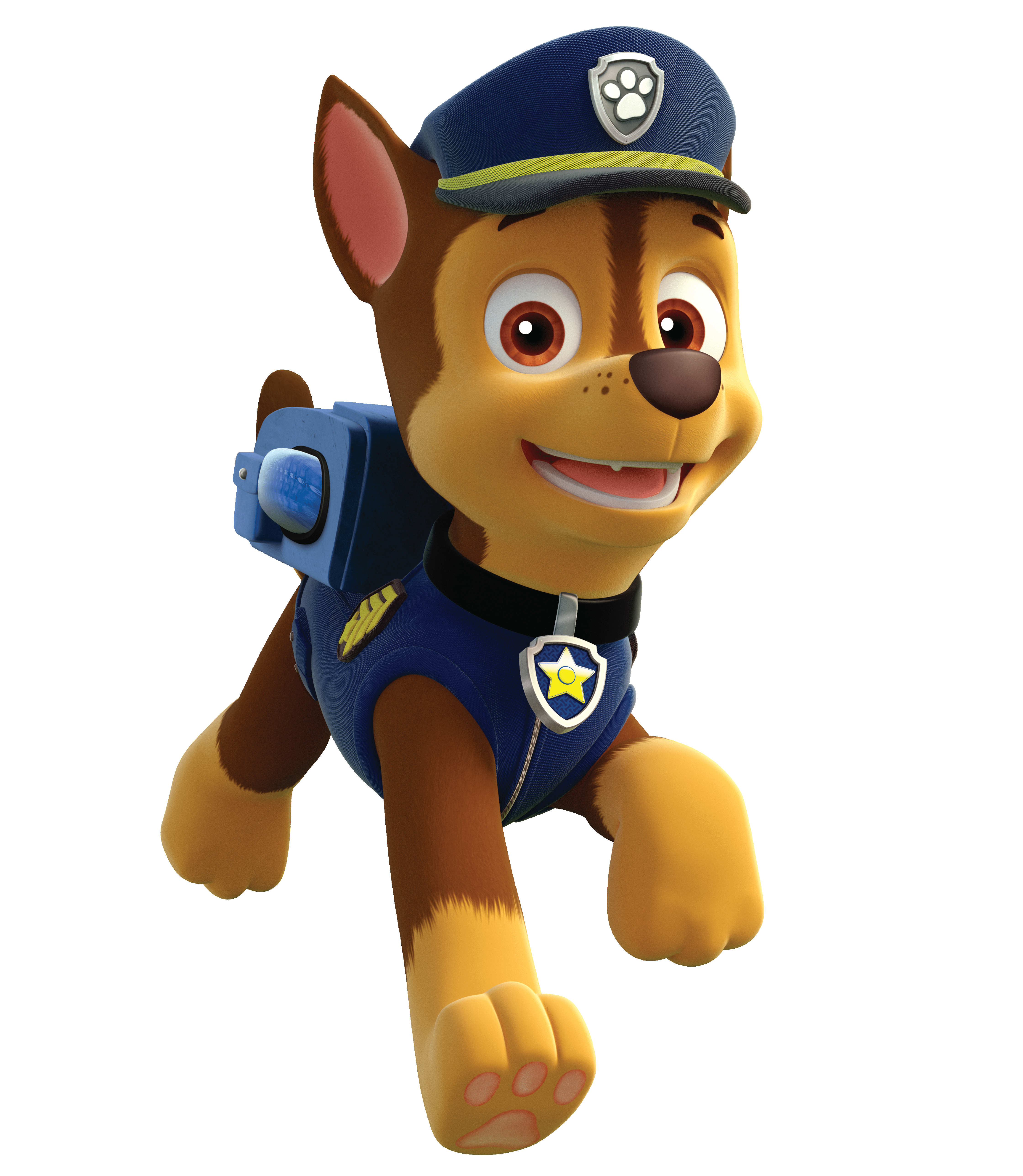 Cat Paw Patrol Chase Related Keywords & Suggestions - Cat Pa